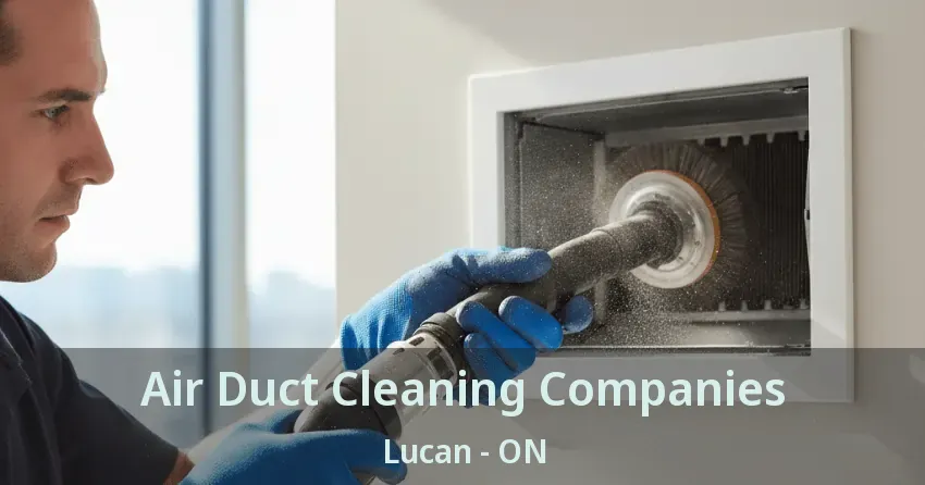 Air Duct Cleaning Companies Lucan - ON Air Duct Cleaning Companies Lucan - ON