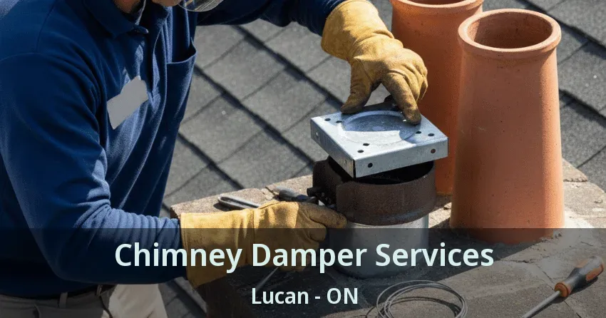 Chimney Damper Services Lucan - ON