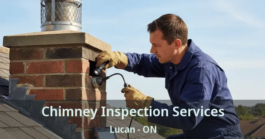 Chimney Inspection Services Lucan - ON