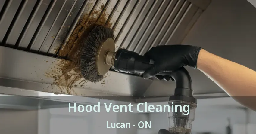 Hood Vent Cleaning Lucan - ON