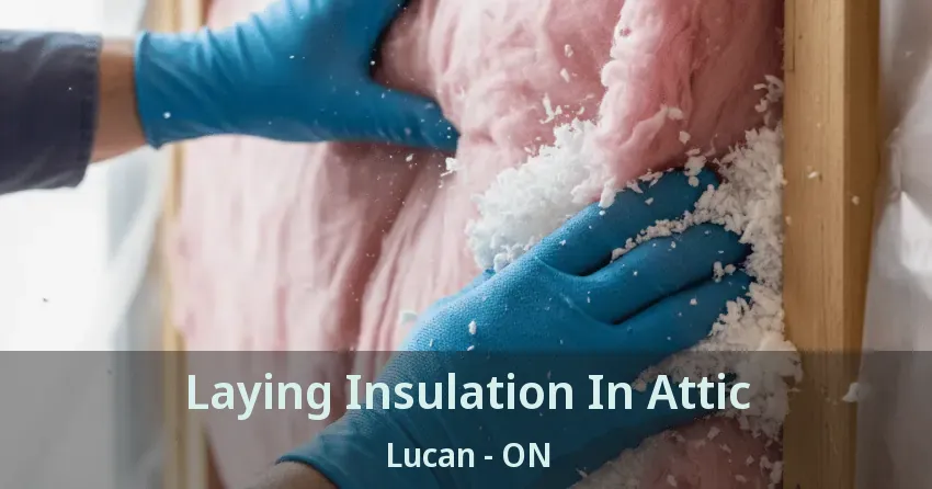 Laying Insulation In Attic Lucan - ON